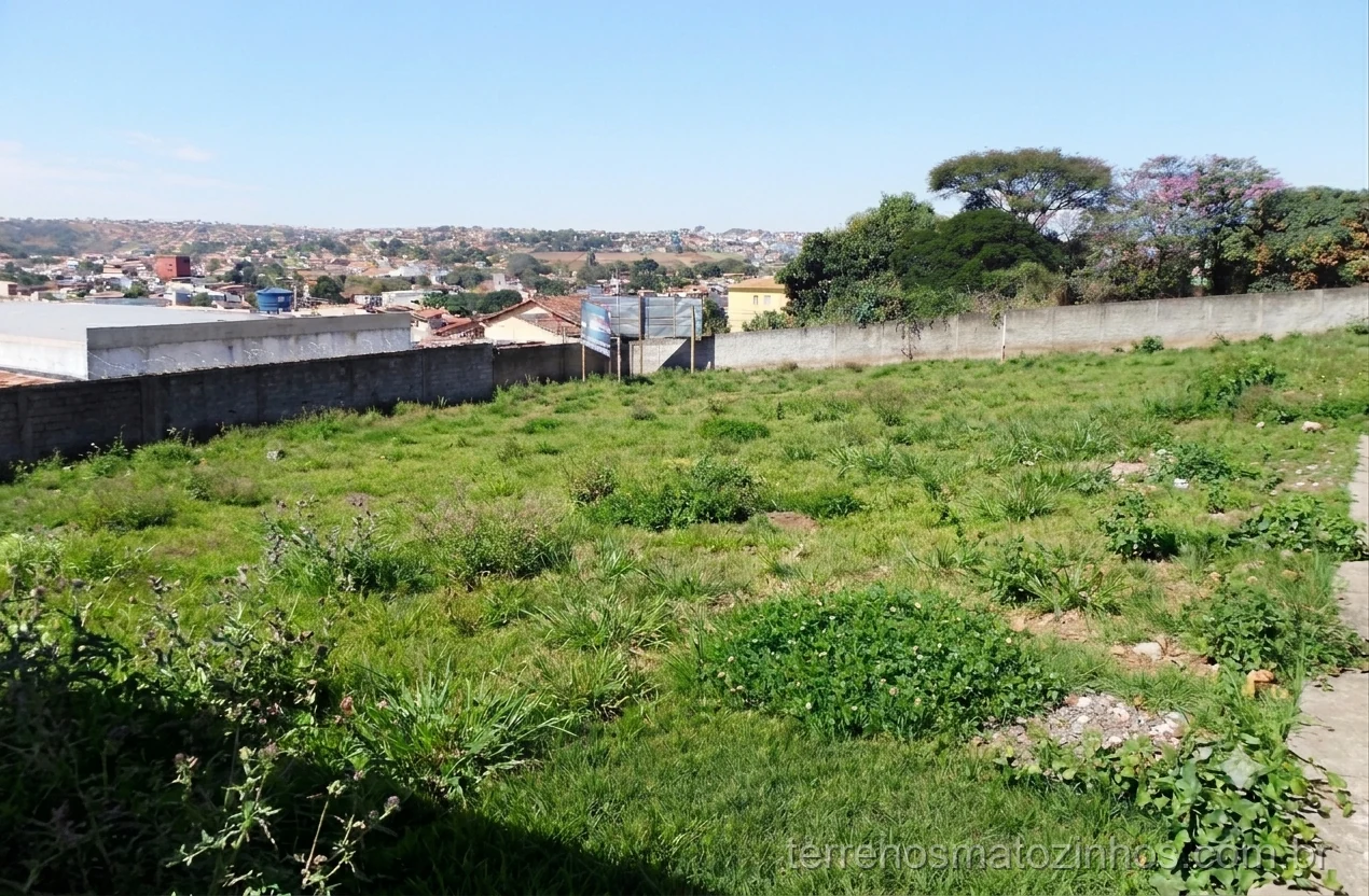 Lote na Rua Maria da Glória